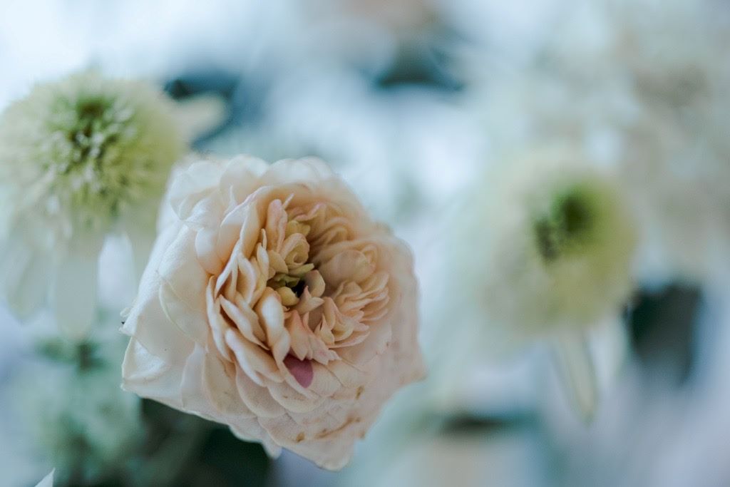小さな結婚式横浜店~【花嫁の幸せを願って】サムシングフォーとは?~